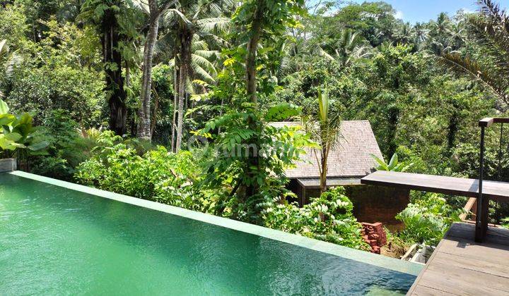 Hideaway Villas Ubud Baru SHM Furnished View Jungle 14