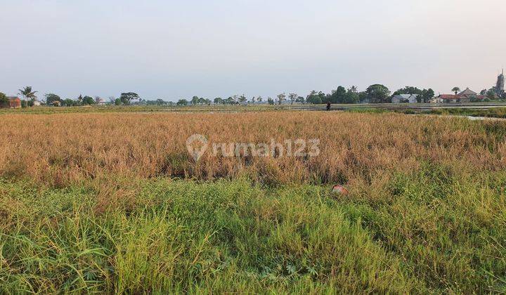 Dijual Cepat Tanah Kavling Lokasi Sudah Ramai, Tambun, Tarumajaya 032 2