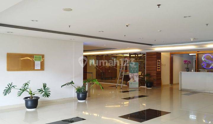 Dijual Cepat Murah Apartemen Saveria The Icon Type 1br Di Bsd 2