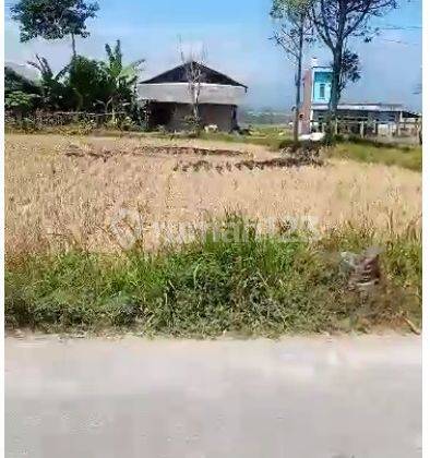 Tanah Kampung Bojong Desa Jatisari Kec. Karang Pawitan Garut 1