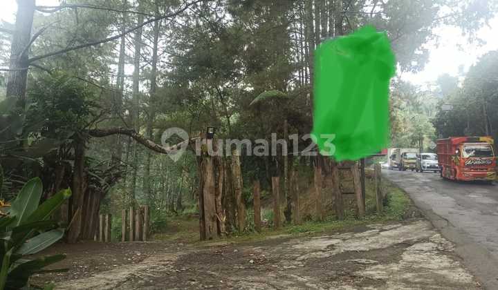 Dijual Tanah di jl. Kolonel Masturi, Lembang Luas tanah 11.775 m2 Dijual Tanah di jl. Kolonel Masturi, Lembang Luas tanah 11.775 m2