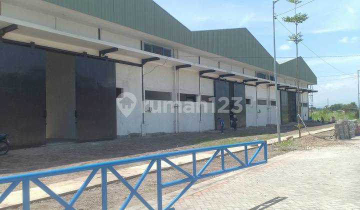 Jual Gudang Jatim Depo 500m Dari Pintu Toll Lokasi Harga Top 1