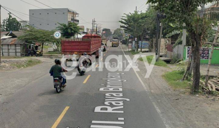 GUDANG YANG SELALU TERSEWA RAYA BRINGKANG MENGANTI 1