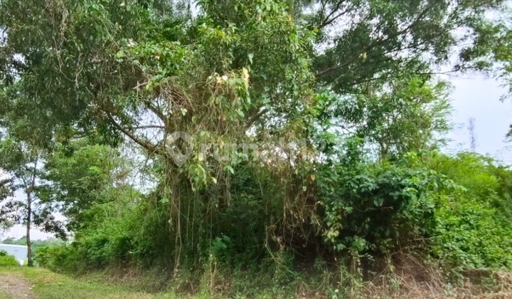 Candi Golf Land 1