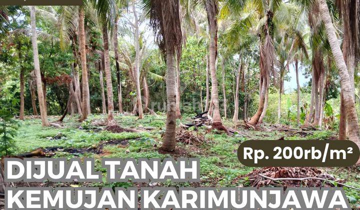 Tanah Kemujan Karimunjawa 1