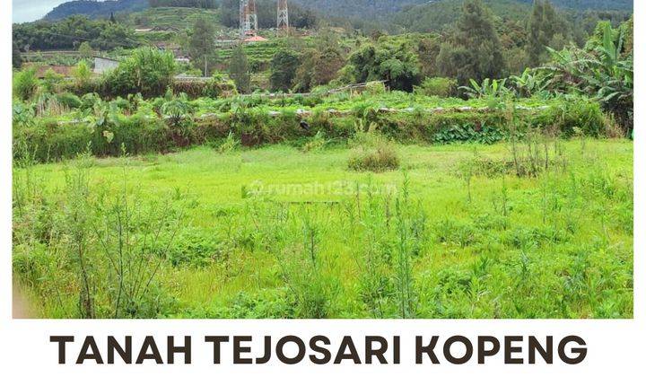 Tanah Tejosari, Kopeng  1