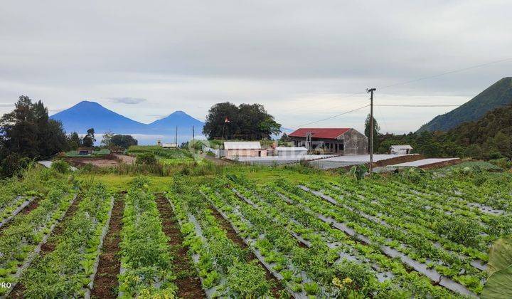 Tanah Tejosari, Kopeng  2