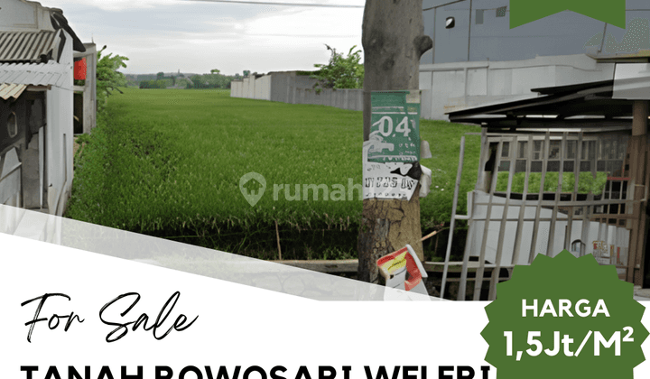 Dijual Tanah Rowosari, Weleri  2