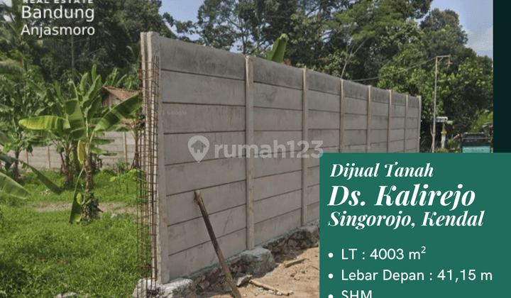 Dijual Tanah Ds. Kalirejo , Singorojo , Kendal 1