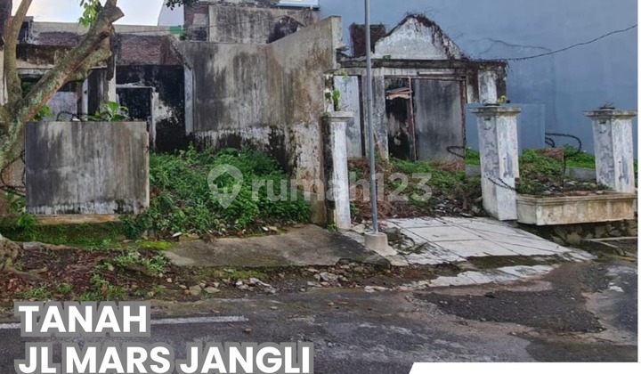 Dijual Tanah Mars, Jangli 2