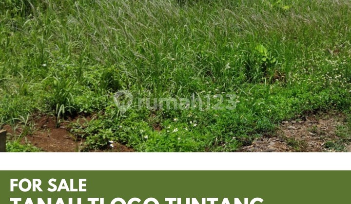 DIJUAL TANAH TLOGO TUNTANG SALATIGA 