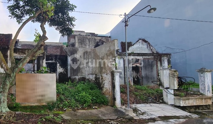 Dijual Tanah Mars, Jangli 1