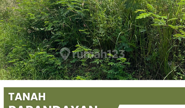 DIJUAL TANAH PAPANDAYAN  1