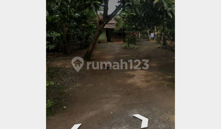 Dijual Tanah dan Rumah Walet di Tendas Tayu Pati 