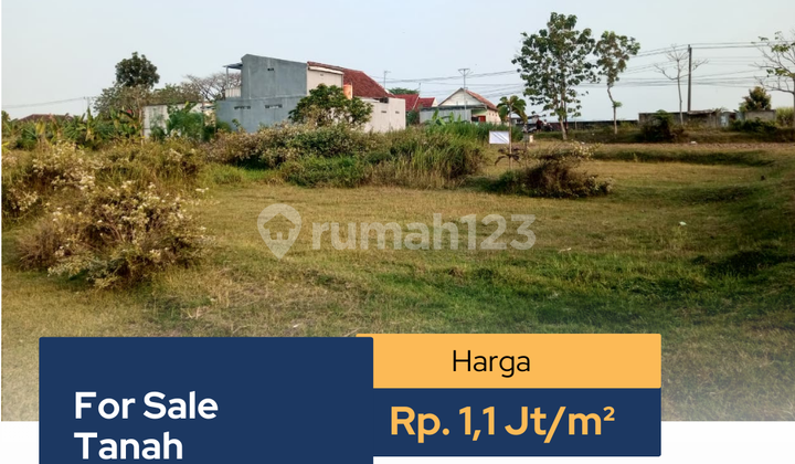 LAND FOR SALE IN PALEM, BLORA