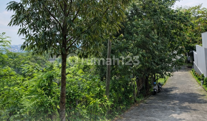 Land The Priority Papandayan 2