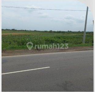 Dijual Tanah Jalan Raya Arteri Kaliwungu Semarang 2