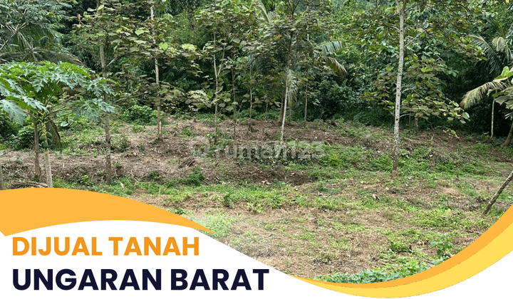 Dijual Tanah Ungaran Barat  1