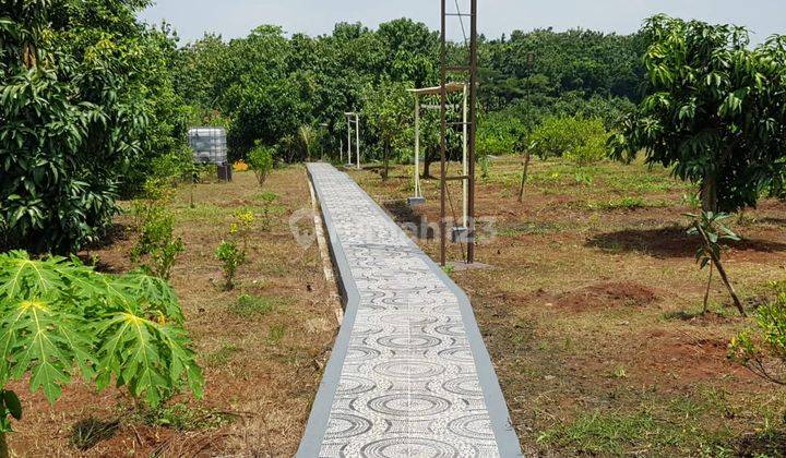 For Sale Tanah dan Kebub di Kabupaten Indramayu bonus Villa cantik 3