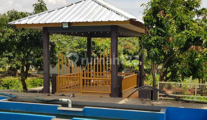 For Sale Tanah dan Kebub di Kabupaten Indramayu bonus Villa cantik 6