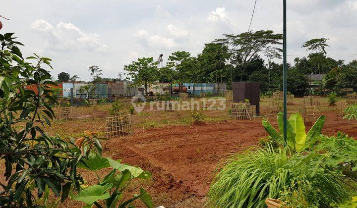 For Sale Tanah dan Kebub di Kabupaten Indramayu bonus Villa cantik 7