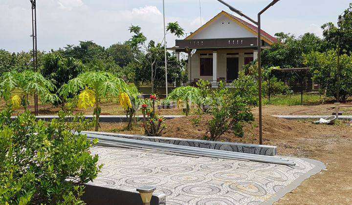 For Sale Tanah dan Kebub di Kabupaten Indramayu bonus Villa cantik 9