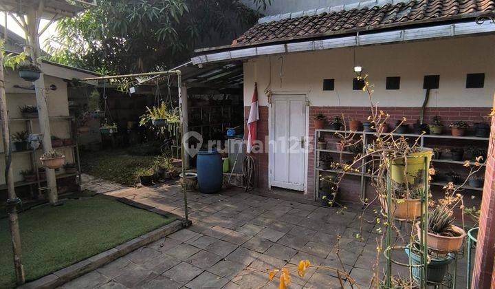 Dijual Rumah Lama Di Sayap Pajajaran Taman Depan Belakang 1