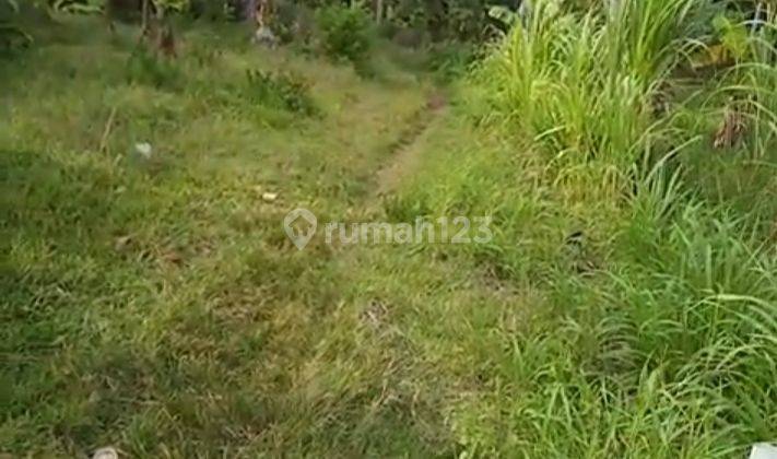 Tanah Murah di Lampung Selatan Lokasi Strategis  7