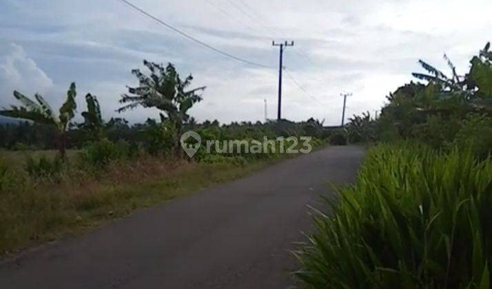 Tanah Murah di Lampung Selatan Lokasi Strategis  1