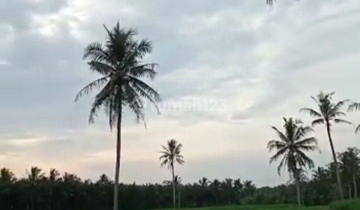 Tanah Murah di Lampung Selatan Lokasi Strategis  2
