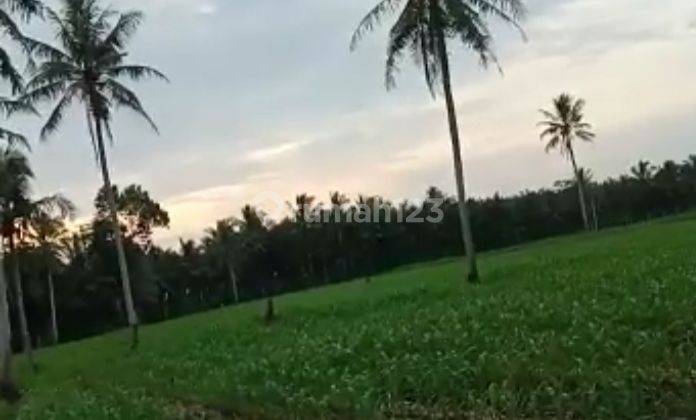 Tanah murah bersertifikat (SHM) Kalianda lampung 11