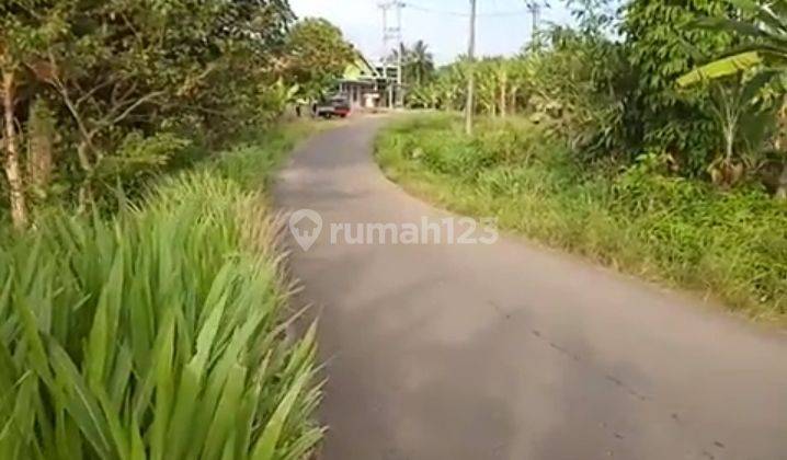 Tanah murah di Kalianda bersertifikat hak milik  2