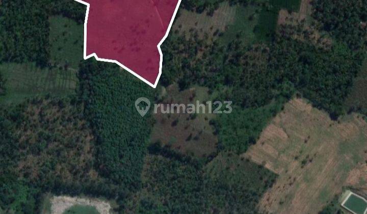 Tanah murah lavel akses mobil Kalianda Lampung selatan 1