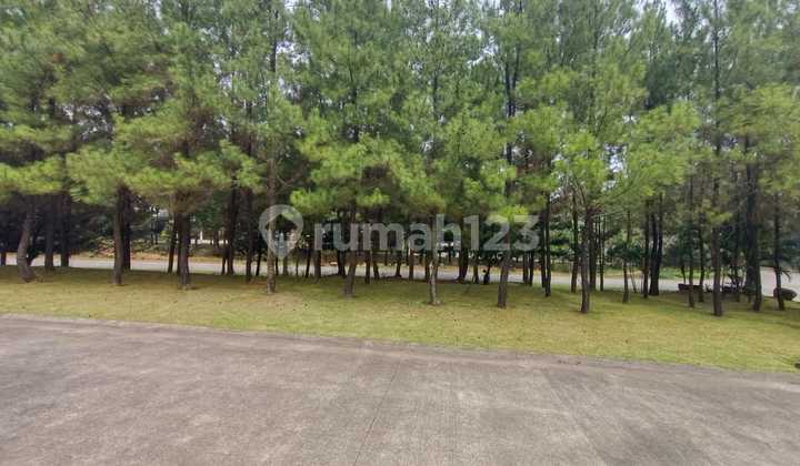 Kavling murah view green area cluster terdepan Sentul city 4