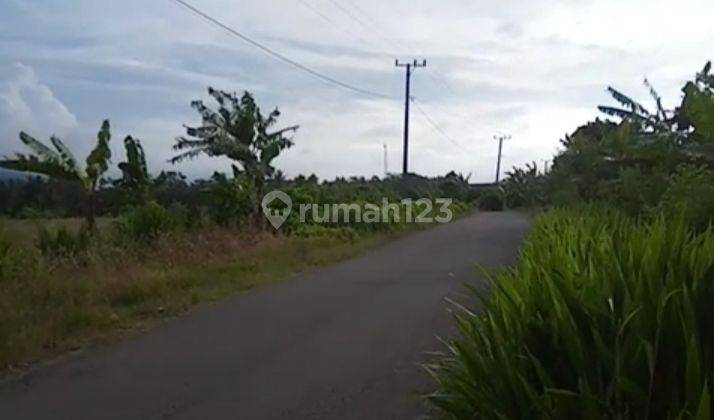 Tanah murah BU sertifikat Kalianda Lampung selatan 2