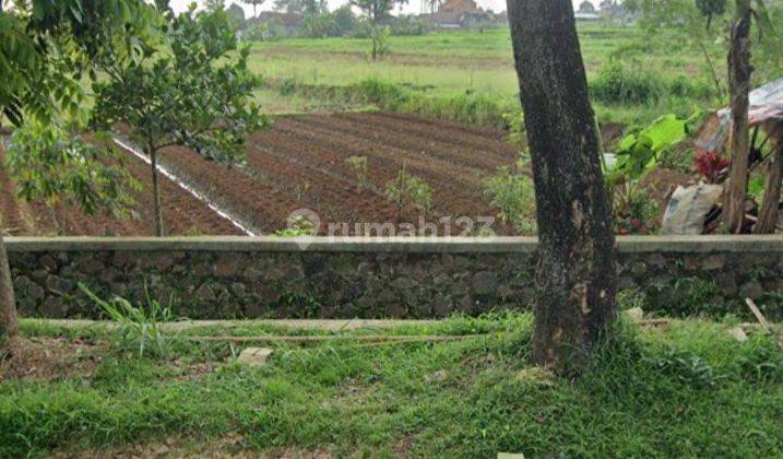 Tanah murah siap bangun di pusat kota sukabumi 2