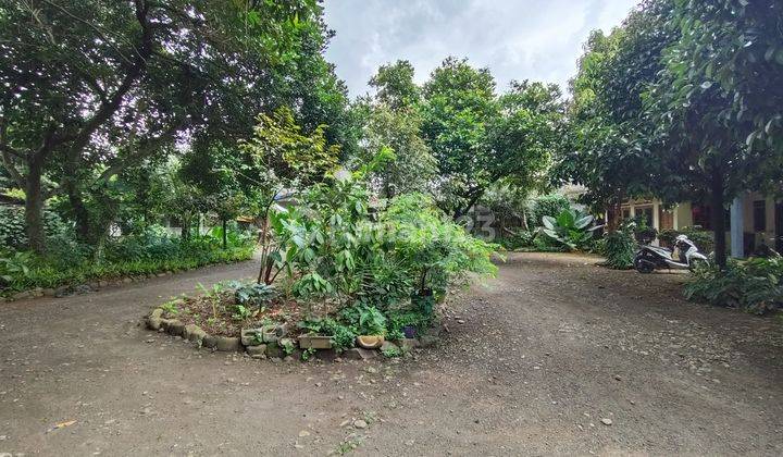 Tanah Murah Bonus Rumah Depan Sicc Sentul City Bogor 2