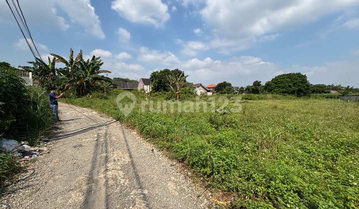 Tanah Murah Sekitar Stadion Pakansari Cibinong Bogor