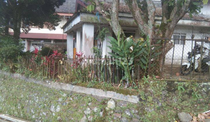 JUAL MURAH RUMAH TUA DI TUGARAN CIPANAS DEPAN HOTEL INDO ALAM 2