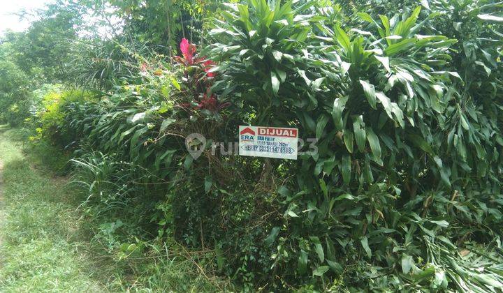 JUAL MURAH DAN CEPAT LAHAN TANAH DI CIAPUS 9
