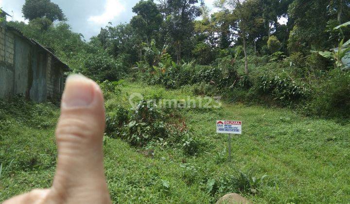 TANAH MURAH DI TAMAN SARI CIAPUS DEKET AMA SEKOLAH NURUL FIKRI 1