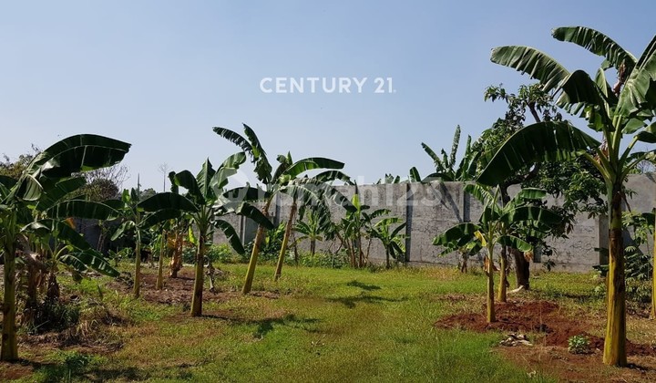 Kavling Luas Cocok untuk Mini Cluster di Bintaro Jaya Sektor 5