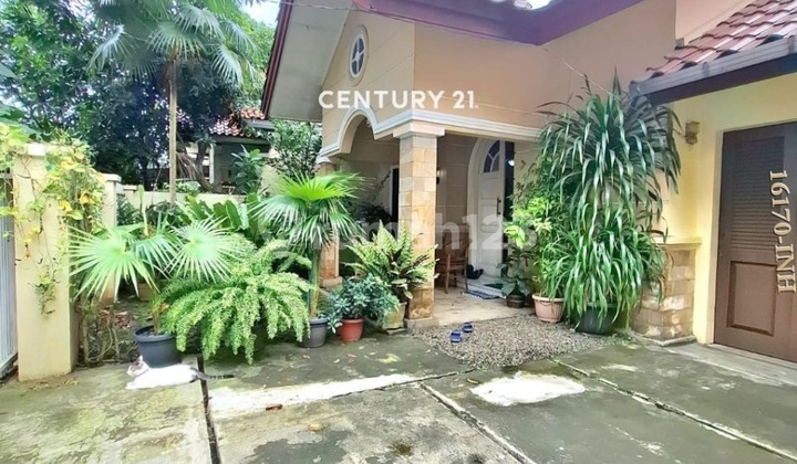 Dijual Cepat Rumah Kantung Semar Halaman Belakang Luas Dijual Cepat Rumah Kantung Semar Halaman Belakang Luas