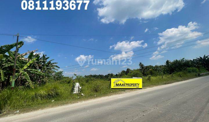 Tanah Siap Bangun,Terlebar , Lalulintas RamaiPasti Untung 3