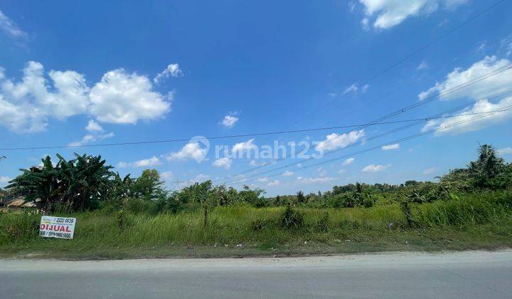 Tanah TERLEBAR..Siap Bangun Ruko,Gudang Pabrik,Pom Bensin Lokasi Jalan Raya Maja Rangkasbitung.