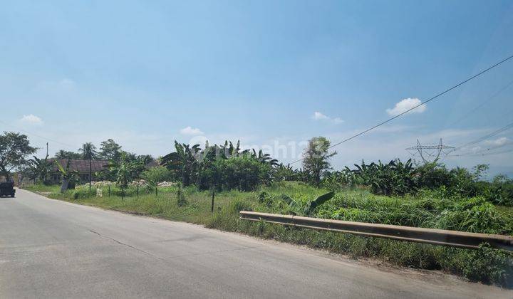 Tanah TERLEBAR..Siap Bangun Ruko,Gudang Pabrik,Pom Bensin Lokasi Jalan Raya Maja Rangkasbitung.