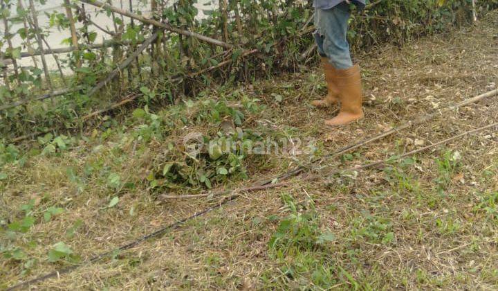 Kavling Siap Pakai, Persegi Sdh Tembok Beton,Strategis