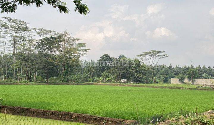 Dijual Murah Tanah Cocok Untuk Pabrik Atau Perumahan Baleendah Bandung 1