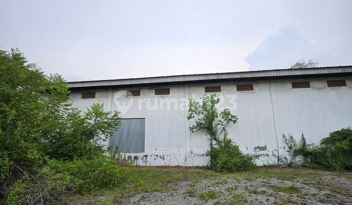 Disewakan Lahan dan Gudang Bumi Maspion 