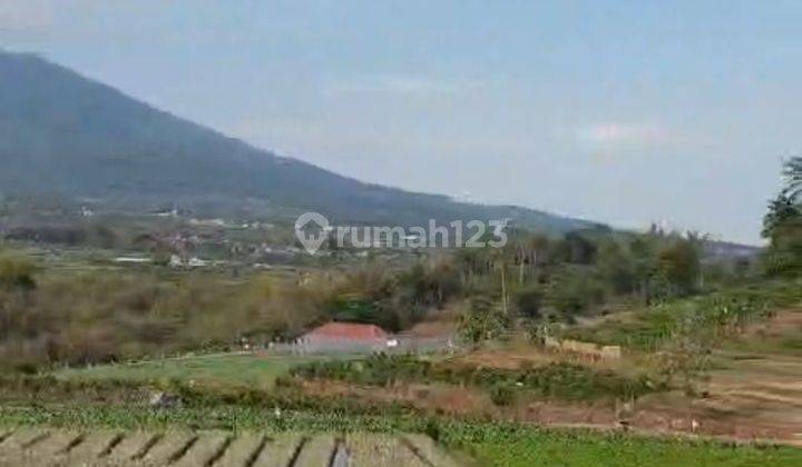 LAHAN ZONA KUNING DI BATU PEMANDANGAN SANGAT BAGUS  2